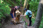 2023-06-04_Froelich_170-24
