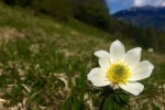 2016-05-21-Golica-2-09