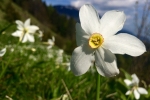 2016-05-21-Golica-2-10