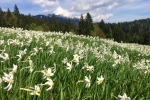 2016-05-21-Golica-2-13