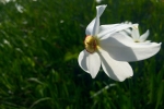 2016-05-21-Golica-2-15