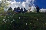 2016-05-21-Golica-2-18