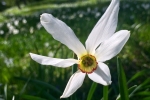 2016-05-21-Golica-2-20