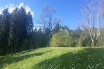 2016-05-21-Golica-2-24