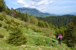 2016-05-21-Golica-25