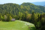 2016-05-21-Golica-26