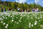 2016-05-21-Golica-29