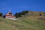 2016-08-14-Tabor_Dovje-2dan-Dovska_Baba-10