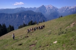 2016-08-14-Tabor_Dovje-2dan-Dovska_Baba-12