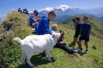 2016-08-14-Tabor_Dovje-2dan-Dovska_Baba-31