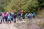 2016-10-08-Kostanjev_piknik-05