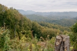 2016-10-08-Kostanjev_piknik-07