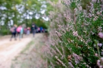 2016-10-08-Kostanjev_piknik-09