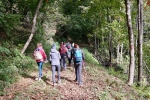 2016-10-08-Kostanjev_piknik-18
