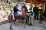 2016-10-08-Kostanjev_piknik-35