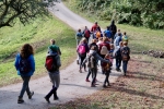 2016-10-08-Kostanjev_piknik-36