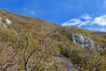 2016-10-29-Nanos-06