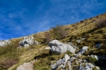 2016-10-29-Nanos-18