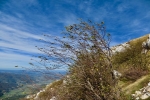2016-10-29-Nanos-19
