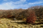 2016-10-29-Nanos-28