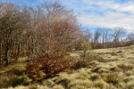 2016-10-29-Nanos-29
