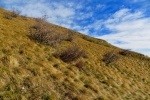 2016-10-29-Nanos-42