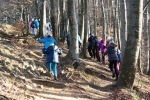 2016-12-03-Miklavzevanje-10-1500px