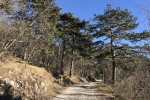 2016-12-26-Trstelj-03