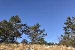 2016-12-26-Trstelj-06