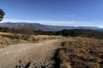 2016-12-26-Trstelj-11