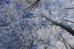 2017-02-08-Donacka_gora-22