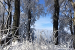 2017-02-08-Donacka_gora-25