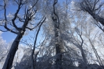 2017-02-08-Donacka_gora-30