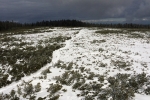 2017-02-18-Lovrenska_jezera-13