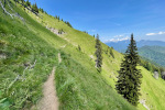 2022-06-18-Begunjscica-20