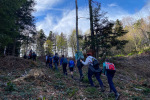 2022-11-12_Bohor-11