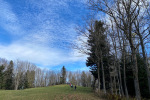 2022-11-12_Bohor-12