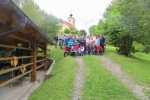 2017-06-10_cesnjev_pohod_2017-06