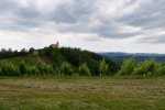 2017-06-10_cesnjev_pohod_2017-07