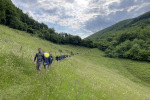 2023-06-03_Cesnjev_pohod_2023-08