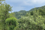 2023-06-03_Cesnjev_pohod_2023-10