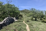 2018-04-27-Sis-Gorice-03