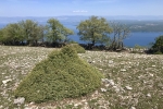 2018-04-27-Sis-Gorice-10