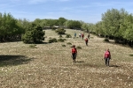 2018-04-27-Sis-Gorice-12