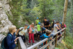 Tabor_Dovje_2022-59