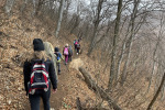 2022-02-19-Dreveniska_gora-13