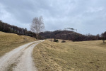 2022-02-19-Dreveniska_gora-17