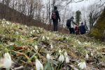 2022-02-19-Dreveniska_gora-30