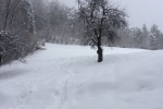 Gora_Oljka_24-2-2018_03