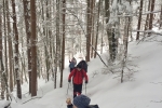 Gora_Oljka_24-2-2018_08